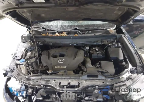 2019 Mazda Cx-9 Touring from USA, damaged, VIN JM3TCBCY0K0332029